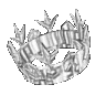 pr5 image